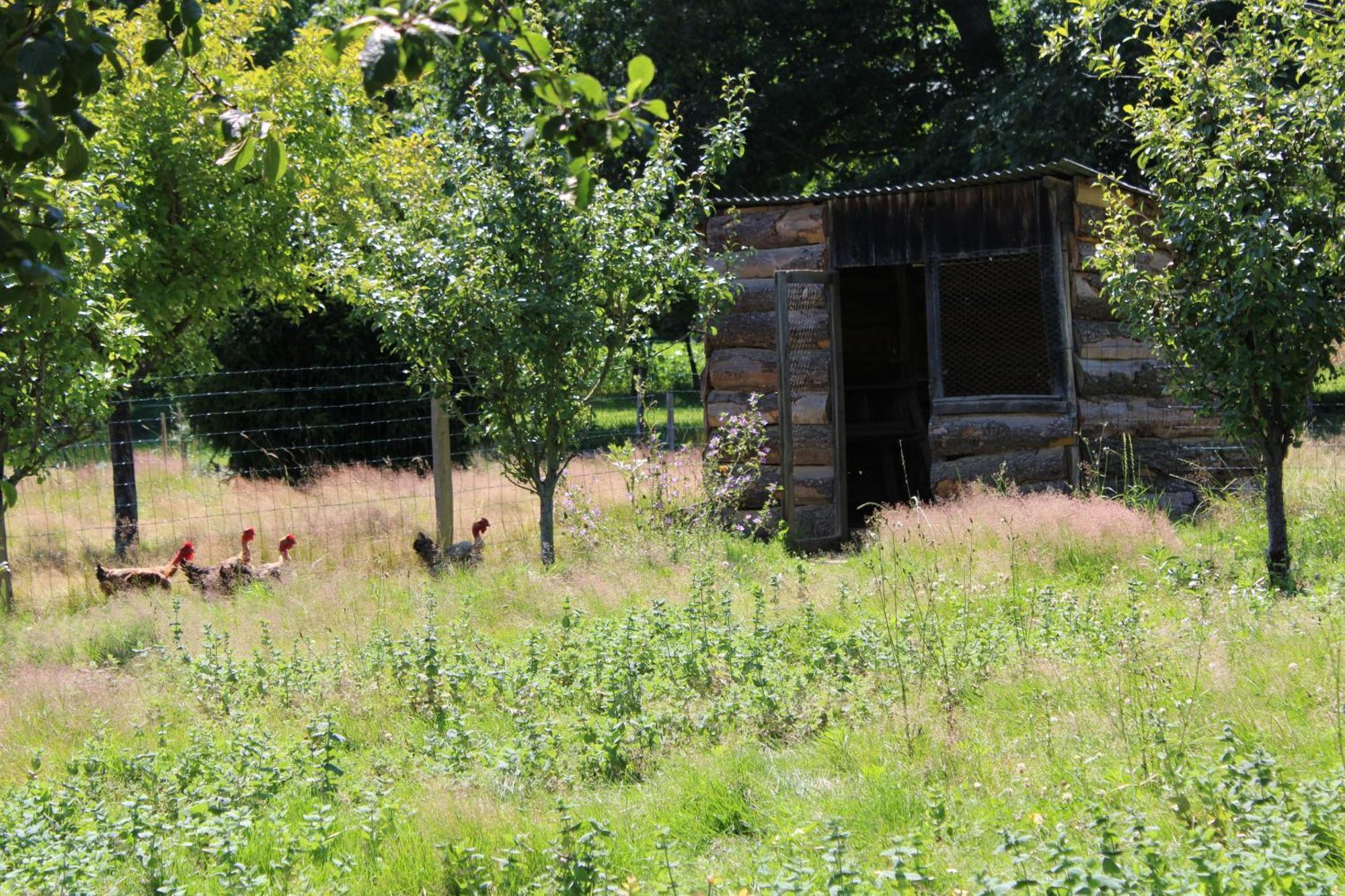 Ecogite Rural La Cle Des Champs Peyrelongue-Abos Room photo